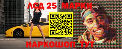 стафф Гай